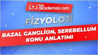 TUS Fizyoloji Histoloji ve Embiyoloji Video Paketi & Bazal Ganglion, Serebellum Konu Anlatımı