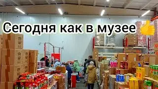 СВЕТОФОР🚦 СЕГОДНЯ КАК В МУЗЕЕ👍 ГОРЫ НОВИНОК в Выходной❗ Обзор Октябрь 2024