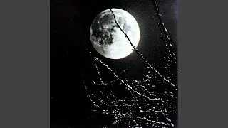 night moon (feat. SABU)