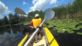 Ворскла , сплав 2019 г. ч. 1.