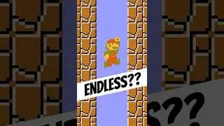 The ENDLESS PIT in Super Mario Bros. (NES)!!