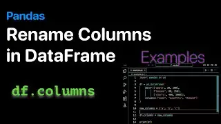 How to change Column Names in a Pandas DataFrame - Examples | ProgramGuru.org