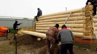 Дом 6 на 6 из бревна / Собираем сруб из бревна / 