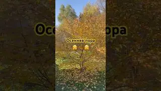 Осенняя пора 🤗
