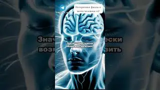 Интересные факты о мозге (часть 2) 