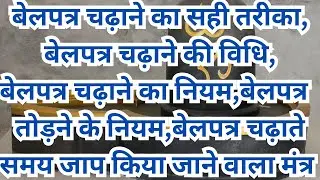 शिवलिंग पर बेलपत्र चढ़ाने का क्या है नियम || कैसे चढ़ाए बेलपत्र/shivling par belpatra kaise chadhaye