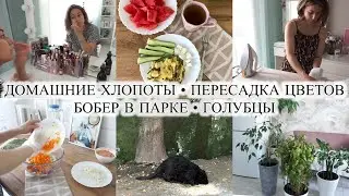 МОИ УТРЕННИЕ РУТИНЫ🧖‍♀️ УХОД ЗА ЛИЦОМ / ЛЕНИВЫЕ ГОЛУБЦЫ 😋 ВСТРЕТИЛИ БОБРА🦫 ВСЕХ ПЕРЕСАДИЛА