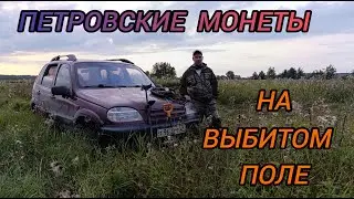 петровские монеты на выбитом поле