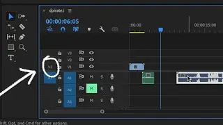 Solution for Premiere Pro Only Importing Audio and No Video