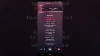 Sevgi fazosi (karaoke)