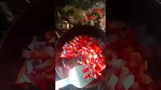 Готовлю Завтрак в Лесу #еданаогне #белыегрибы #рецепт