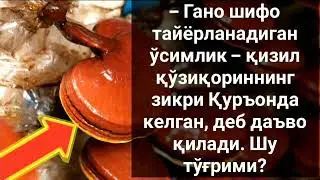 Гано шифо ва камъа–