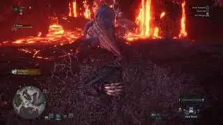 Bazelguese vs Dodogama Turf War