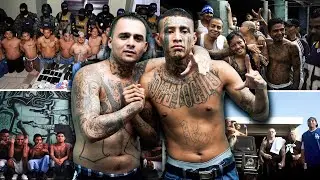 18th Street: LA's Deadliest, Most Violent & Notirous Gang That Outnumber Everyone