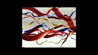 CCF Dexter Host Dec. 14, 2001 pt. 2