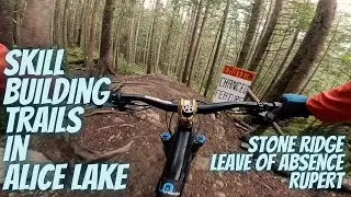 The Alice Lake Starter Trails,    Stone Ridge,  LOA,  Rupert