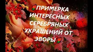 🌹ПРИМЕРКА ИНТЕРЕСНЫХ СЕРЕБРЯНЫХ УКРАШЕНИЙ ОТ ЭВОРЫ🌹