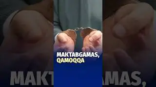 Surxondaryoda 9-sinf o‘quvchisi qamoqqa olindi