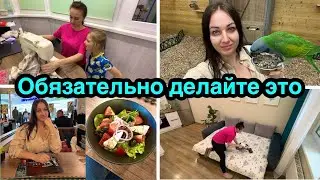 Обязательно делайте это / Шьем наволочки / Переделка вещей / Ресторан / Дом попугаев 🦜