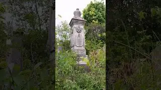 Откуда я пришёл, не знаю…Не знаю я, куда уйду, Когда победно отблистаю В моём сверкающем саду...