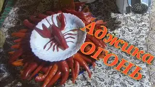 Аджика  ядрёная ядрёная ну просто огонь😱🤣👍