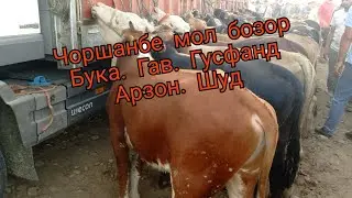 Нохияи.Дусти.Чоршанбе.Мол.Бозор 24.07.2024