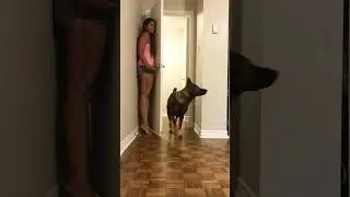 hide & seek