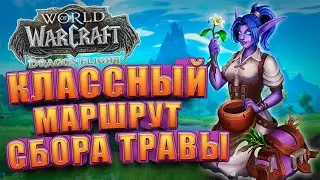 Маршрут сбора травы WoW Dragonflight | Голдфарм