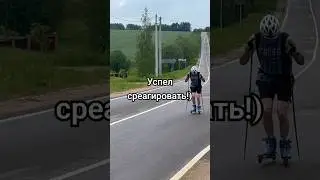 Успел среагировать! 