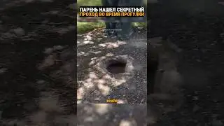 Бесконечная лестница в дыре под деревом в Казахстане.