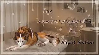 ☞Как зарегистрироваться в Alight Motion?☜♆Туториал WildCraft♆