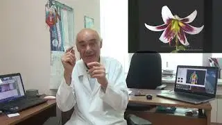 О причинах болезни Паркинсона, болезни Альцгеймера и методе лечения: профессор Владимир Купеев
