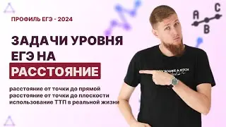 Расстояние между точкой и прямой/плоскостью. ТТП в жизни. Задание №14 | ЕГЭ по математике 2024 | СВ