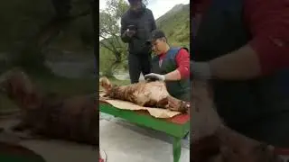Барашек на вертеле