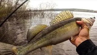 ПРИШЁЛ НА НОВОЕ МЕСТО, ОДЕЛ ЭТУ ПРИМАНКУ И НАЧАЛОСЬ! Ловля судака на джиг. Рыбалка на спиннинг 2023