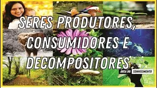 Seres Produtores, Consumidores e Decompositores