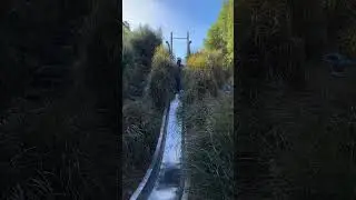 When the slide don’t work #newzealand #wellington