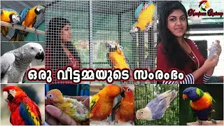 | വീട്ടിൽ ഇരുന്നുകൊണ്ടുതന്നെ വരുമാനം ഉണ്ടാക്കുന്ന പ്രവാസി വീട്ടമ്മ|Manjoos Aviary Exotic Birds Farm|