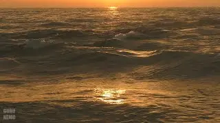 Кобулети (ქობულეთი), река Кинтриши (კინტრიში) и море на закате.