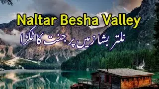 Naltar Bisha Valley | Gilgit Baltistan Pakistan | Gapa Valley Nagar |Hunza Valley | Karakorum Highwa