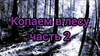 Копаем в лесу с металлоискателем.