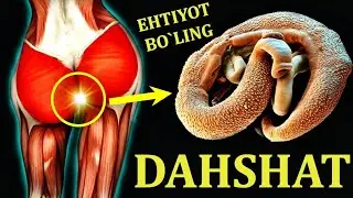 iltimos Kech Bo'lmasidan Oldini Oling  DAHSHATLI 