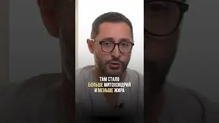 Правильный жир 