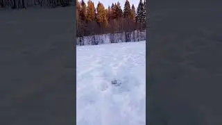 Открыл и закрыл сезон зимней рыбалки 2023/2024