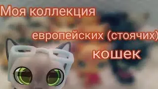 LPS: Моя коллекция европейских (стоячих) кошек.