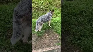 А сон для слабаков 🙈