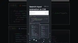 Animated Search box made with CSS | CSS animation