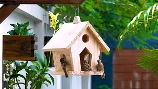 Build A Wooden Bird Feeder From Wood