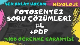 FOTOSENTEZ SORU ÇÖZÜMLERİ 4 // FOTOSENTEZ SORU ÇÖZÜMÜ// 