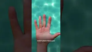 🖐️ Почему кожа в воде становится морщинистой